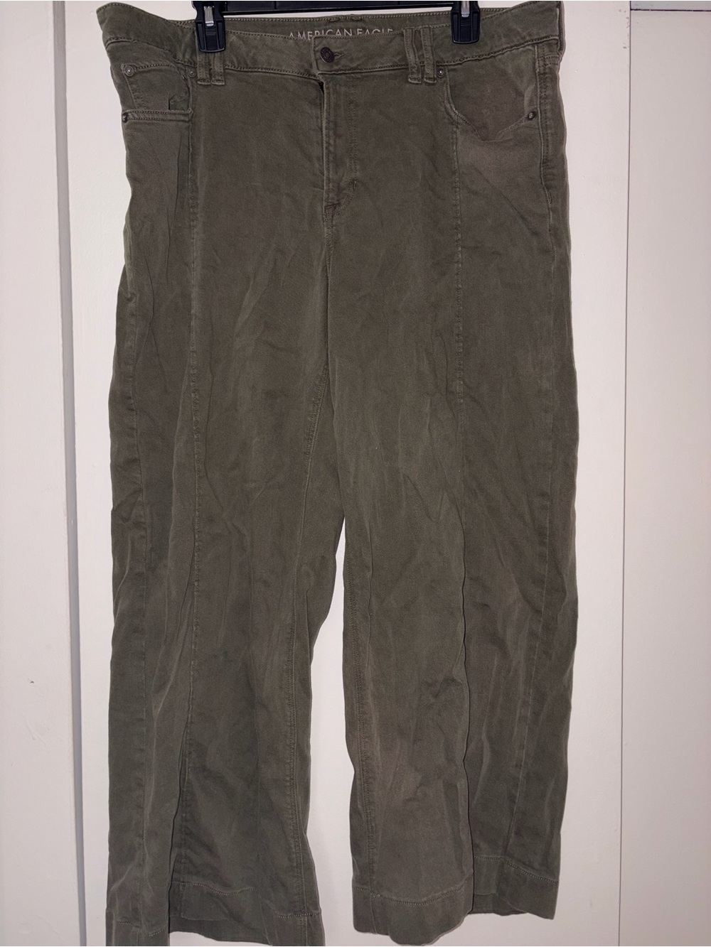 American Eagle Outfitters Olive Women's Wide Leg Pants